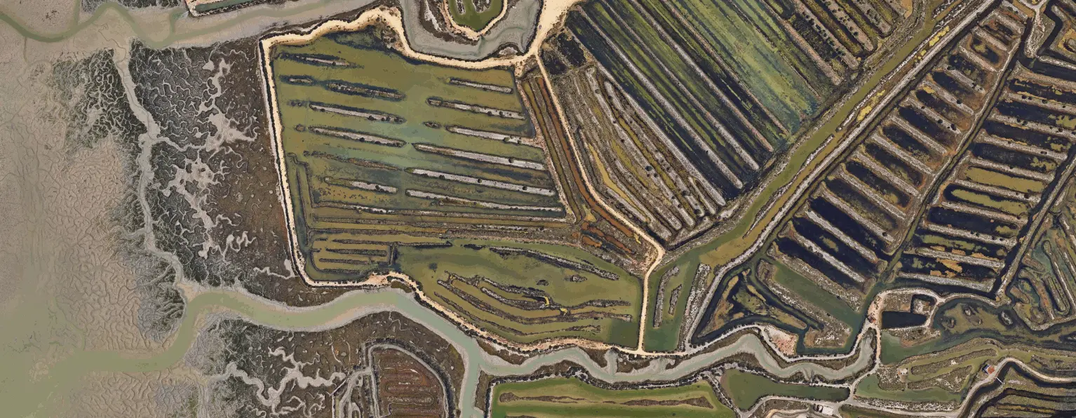 Estero Natural